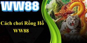 rong-ho-ww88