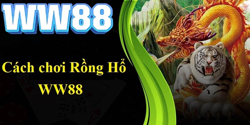 rong-ho-ww88