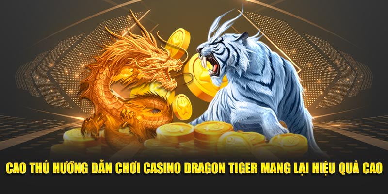 Cao thủ hướng dẫn chơi casino Dragon Tiger mang lại hiệu quả cao