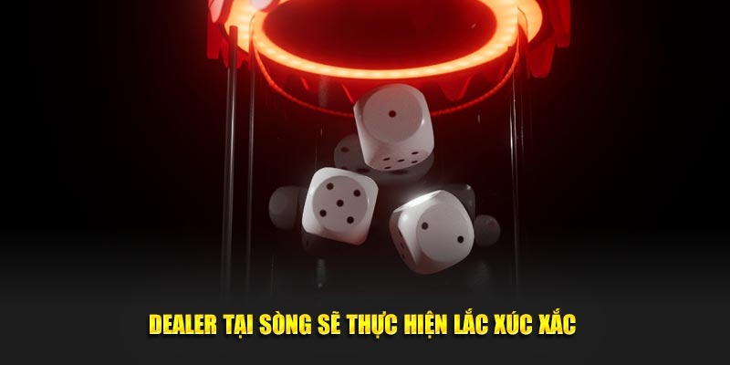 Dealer tại sòng sẽ thực hiện lắc xúc xắc