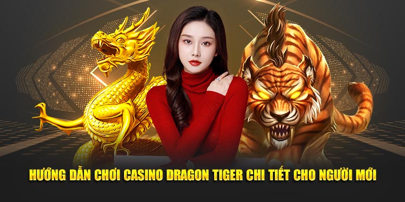 Hướng dẫn chơi casino Dragon Tiger chi tiết cho người mới