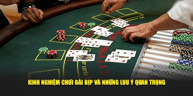 Kinh nghiệm chơi bài bịp và những lưu ý quan trọng