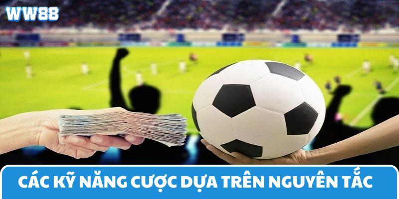 Nguyên tắc soi kèo nhà cái WW88 đem tới nhiều chiến thuật cá cược