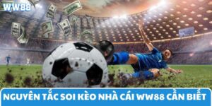 nguyen-tac-soi-keo-nha-cai-ww88