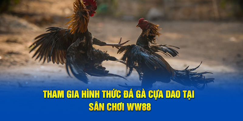 Tham gia hình thức giải trí chất lượng có tại sân chơi WW88
